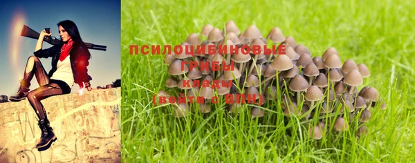 ешки Алзамай