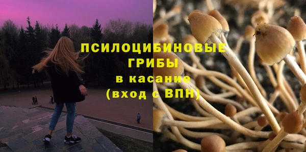 ешки Алзамай