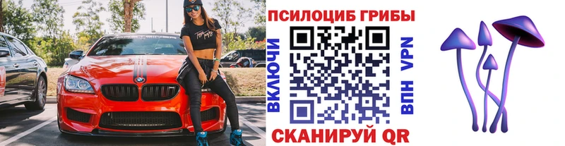 Галлюциногенные грибы прущие грибы  закладки  Люберцы 
