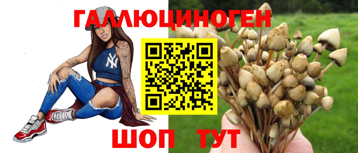 Псилоцибиновые грибы Psilocybine cubensis  Галлюциногенные грибы ЛСД  Люберцы  Вход с VPN 